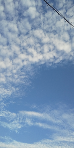 秋の空