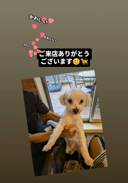 かわいい