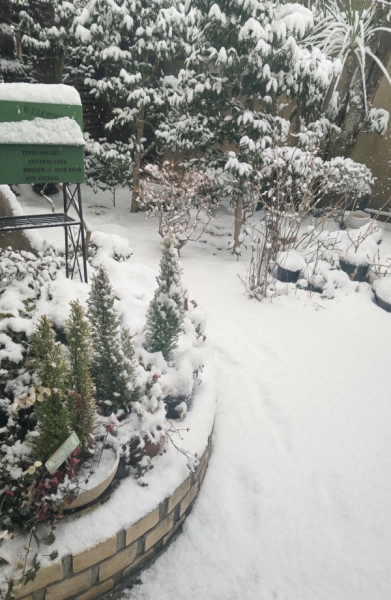 雪国