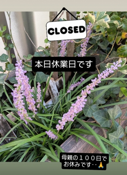 お休みです‥