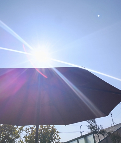 お天気