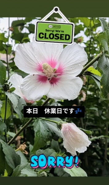 休業日