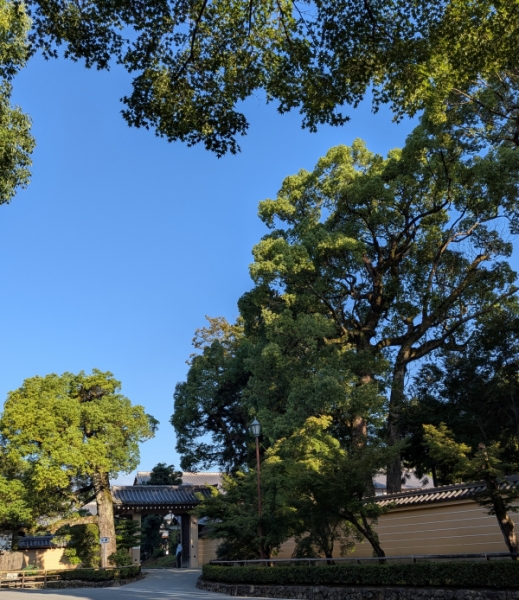 金閣寺