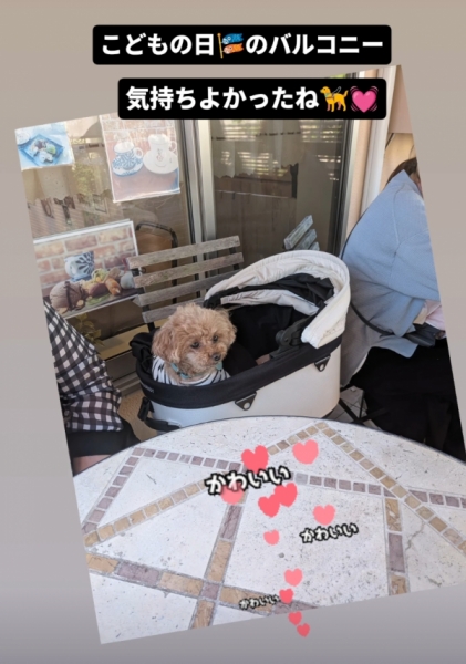こどもの日のワン