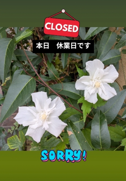 休み