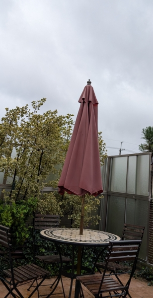 雨