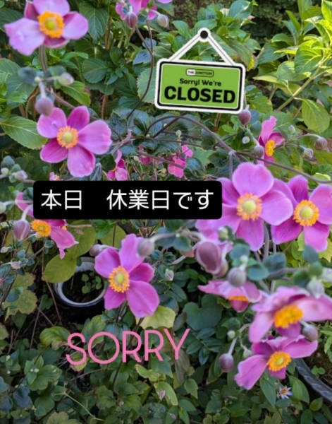 休み
