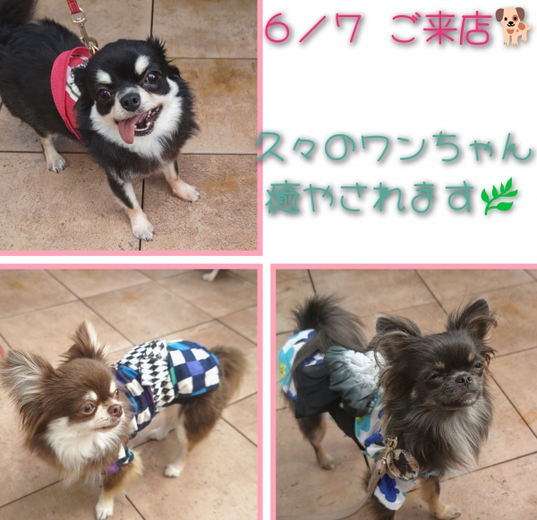 久々