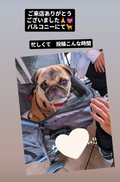 かわいい