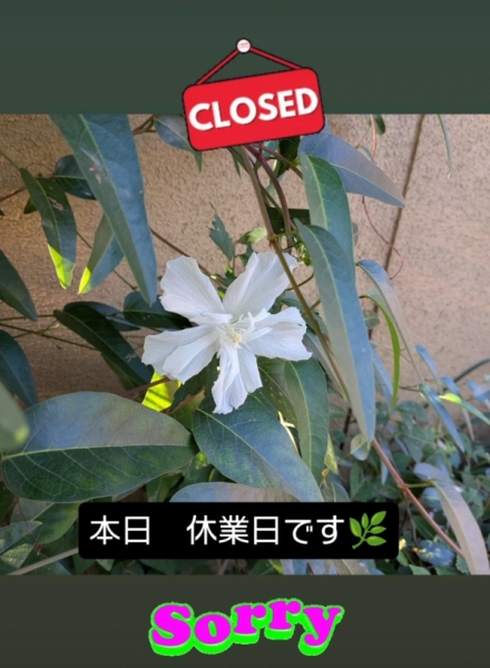 休業日