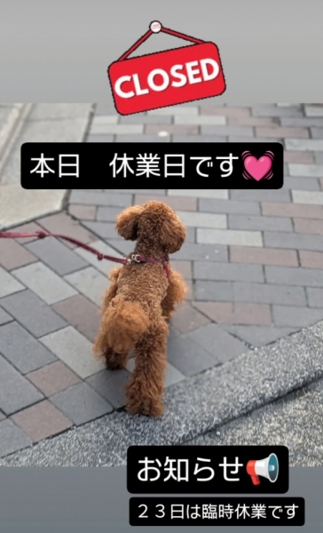 おやすみ