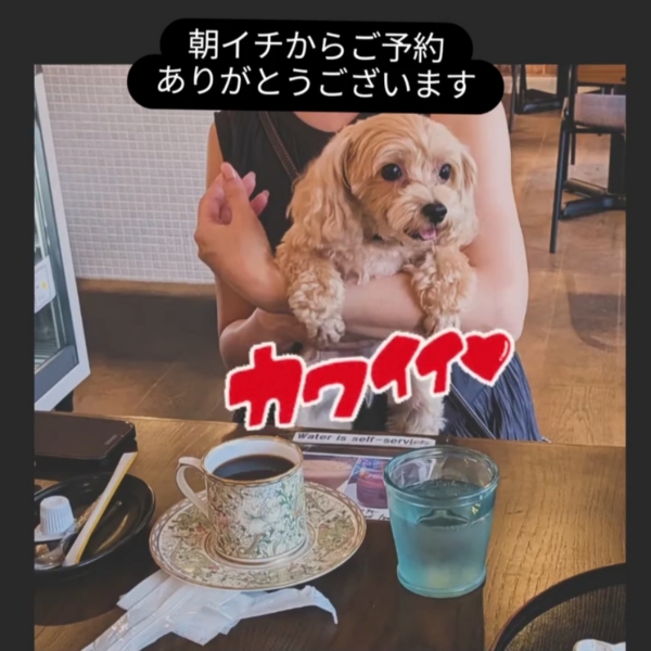 aa75c86e-1bbf-48b3-b8bc-93fbbf751dd4